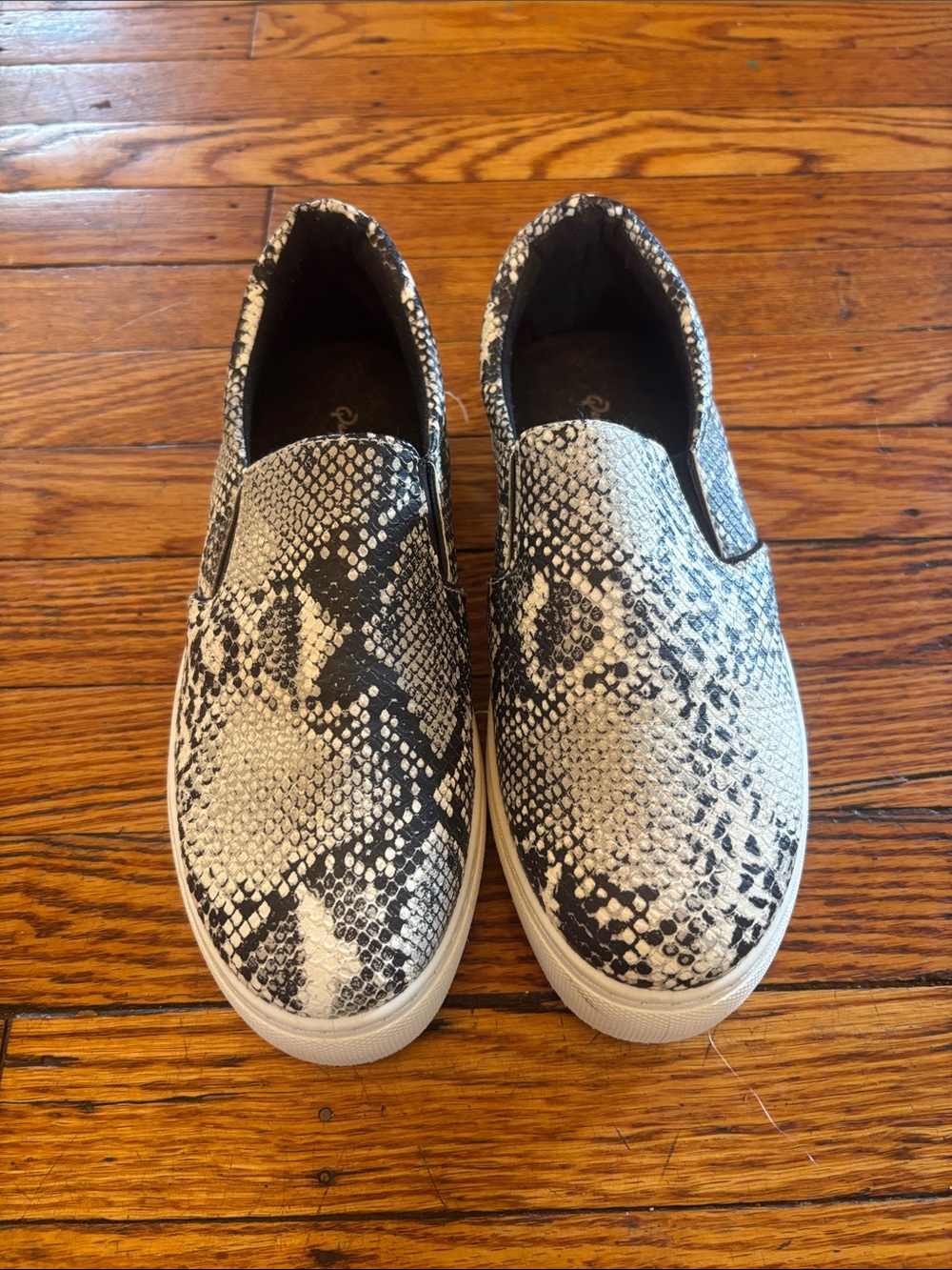 Qupid Snake-Print Slip-On Sneakers in Black & White